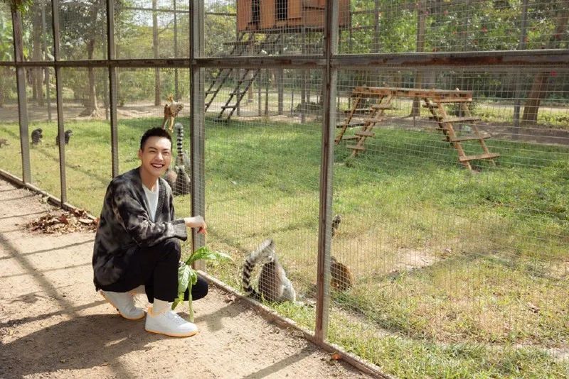 陈伟霆晒30w球鞋！周扬青都没见过，欧阳娜娜惊呼：太厉害了