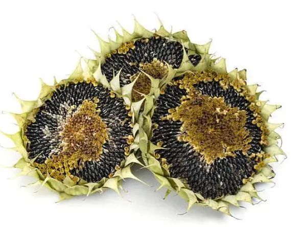 潮享玩昆明,昆明潮玩集合