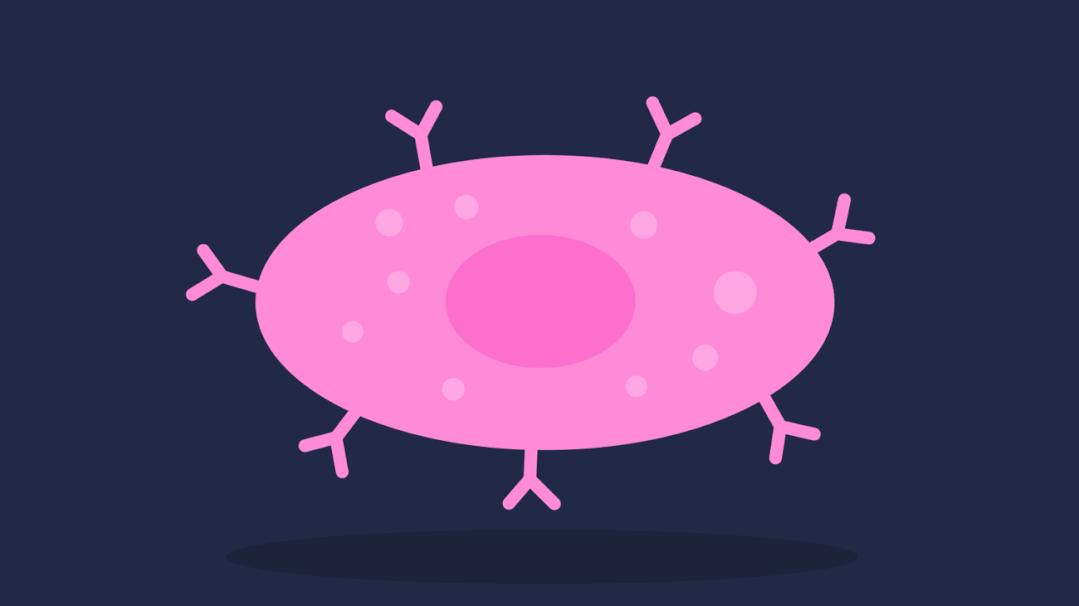 干细胞学术高峰论坛2020,一型糖尿病2020干细胞研究进展