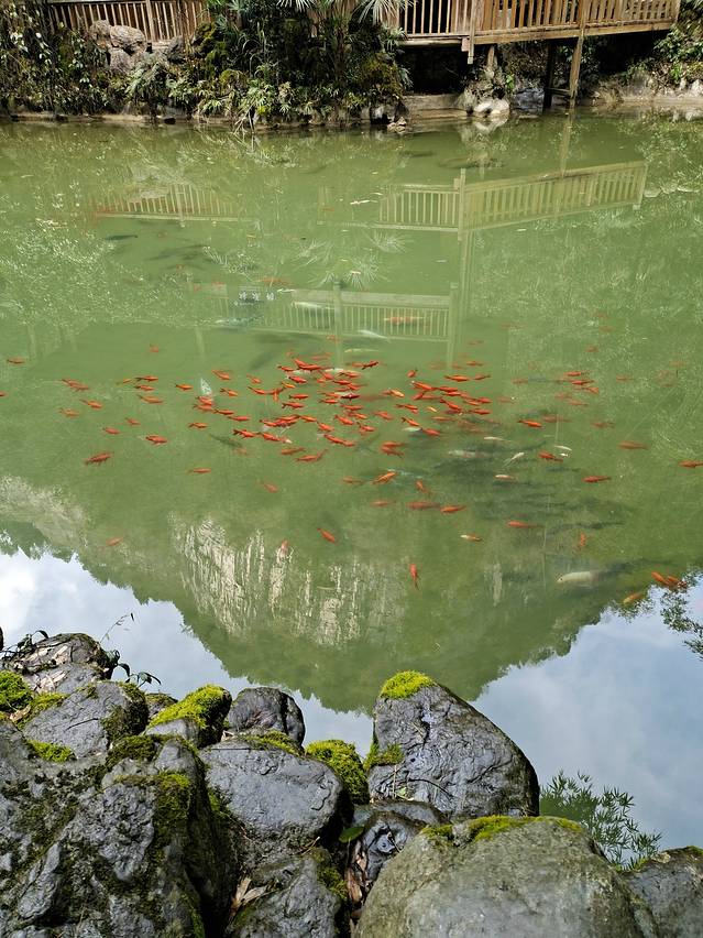 经济实惠温泉小镇,最经济实惠的旅游城市排行