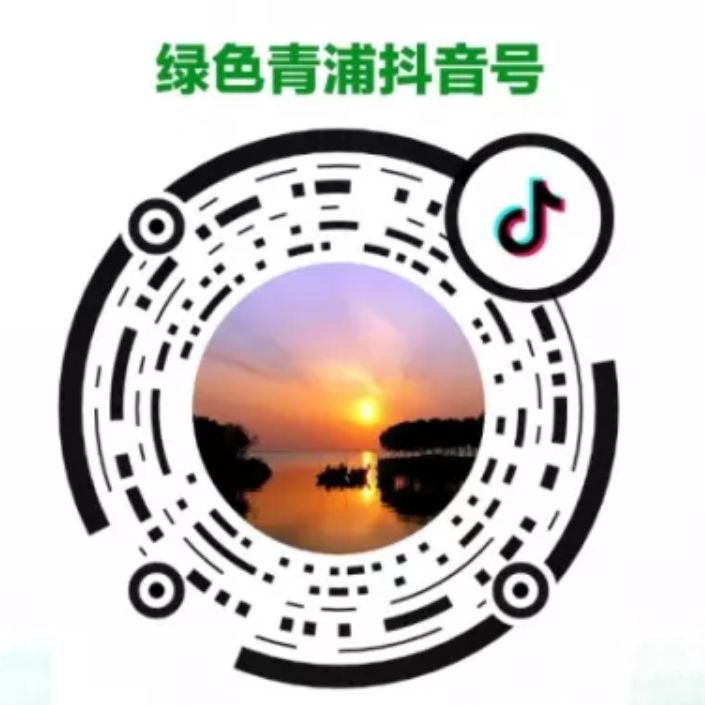 上海大观园的门票多少钱,盘龙大观园门票价格