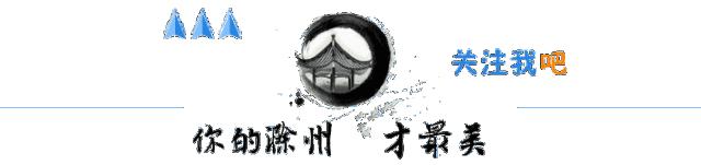 全市先进人员公示,全市优秀个人