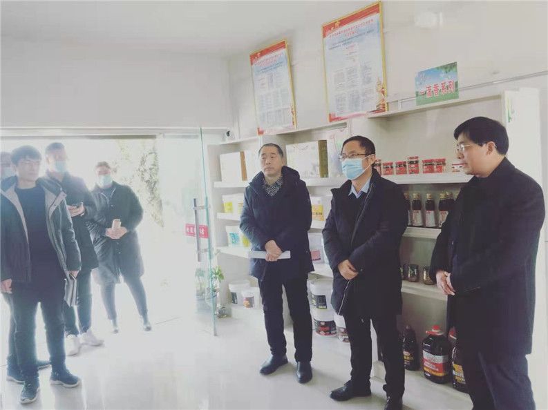 机遇蕴含精彩，合作铸就光辉——镇平县召开电商工作（雪枫）现场会