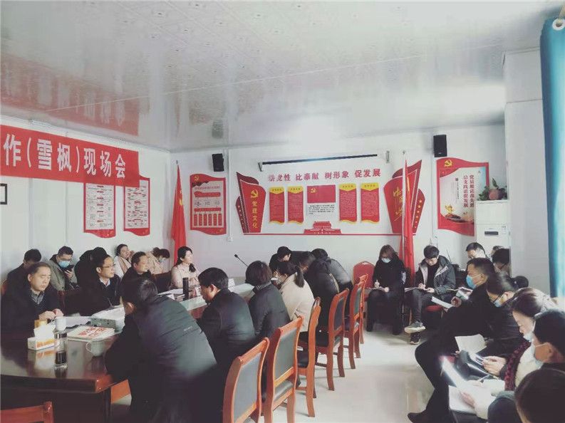 机遇蕴含精彩，合作铸就光辉——镇平县召开电商工作（雪枫）现场会