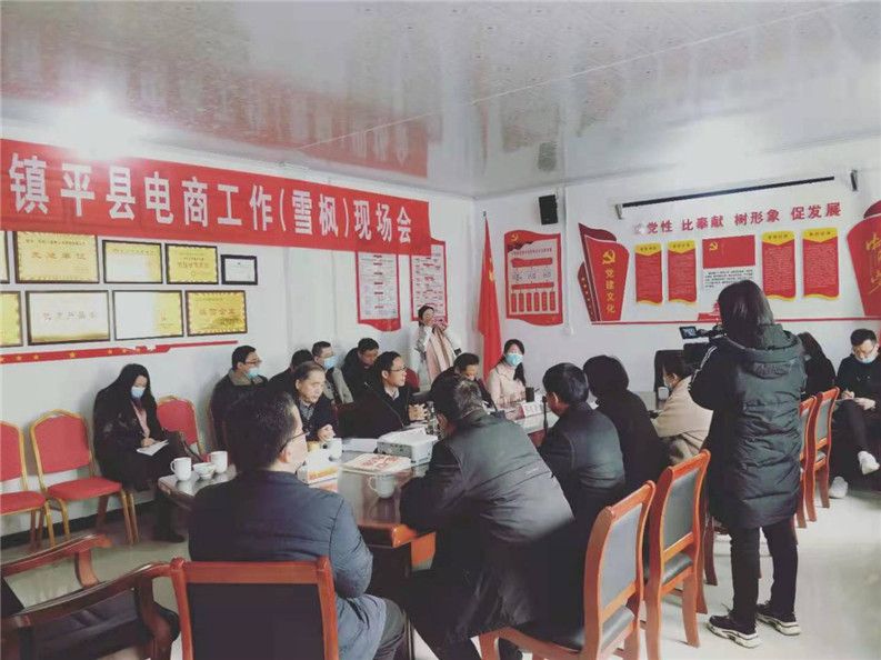 机遇蕴含精彩，合作铸就光辉——镇平县召开电商工作（雪枫）现场会