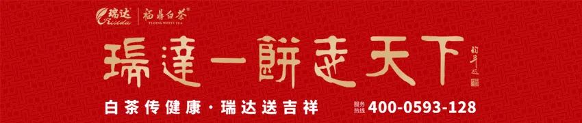 海上田园风光抖音热门,网红景点海上田园风光秀打卡