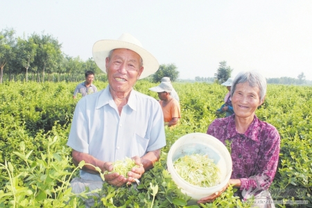 增进民生福祉的对策措施,增进民生福祉的目标