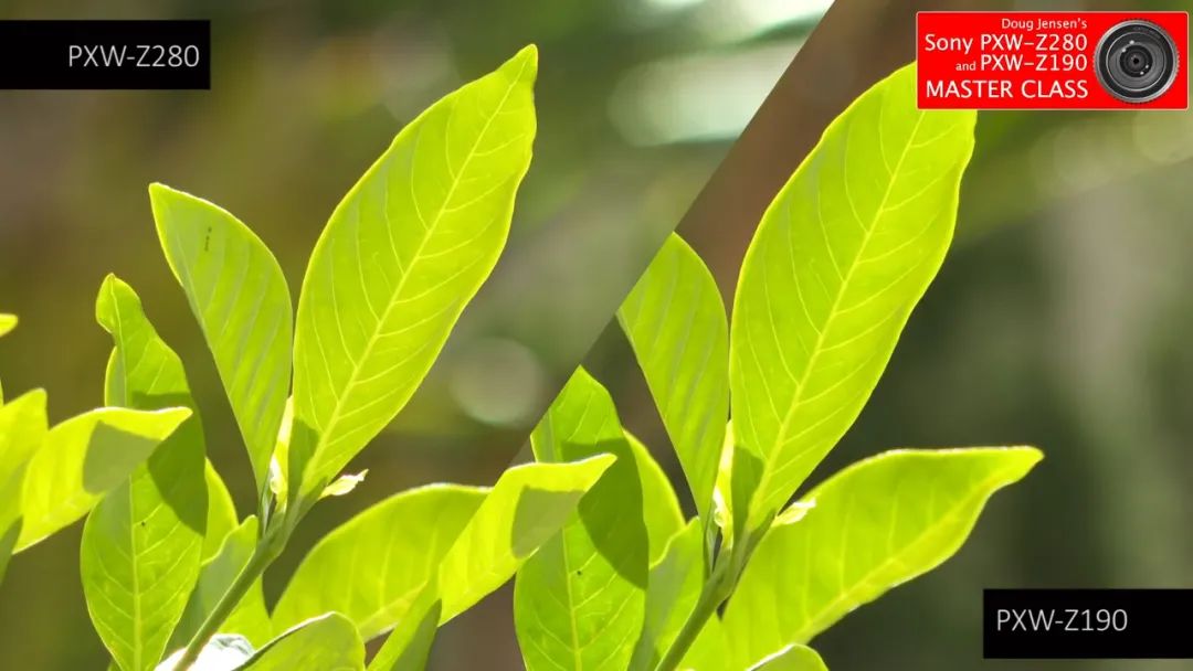 专业品质的直播摄像机|SONYPXW-Z190V用着不香吗？