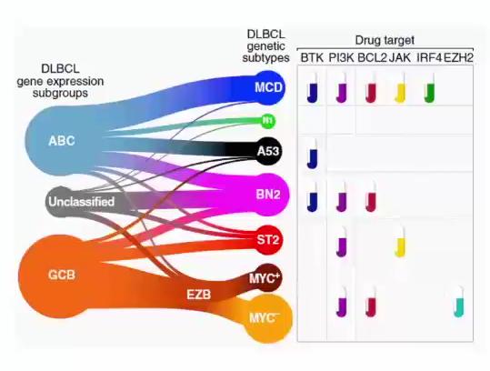 徐卫教授：如何提高DLBCL的治愈率？|中国血液学发展大会