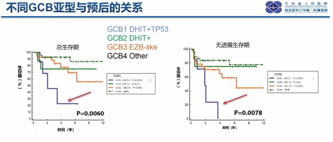徐卫教授：如何提高DLBCL的治愈率？|中国血液学发展大会