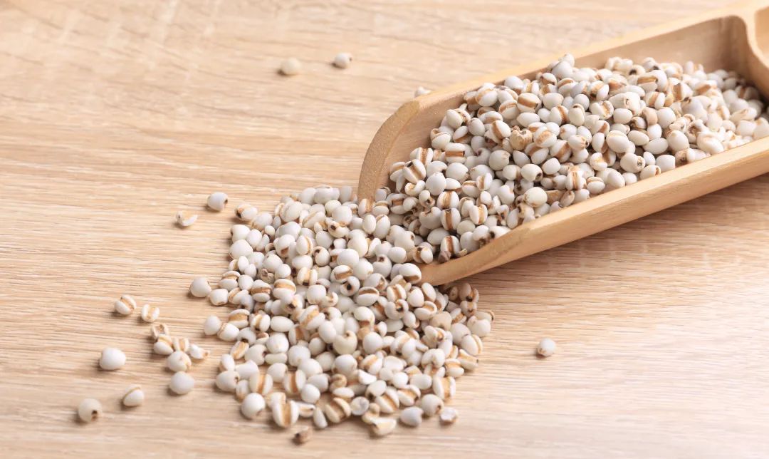 薏苡仁是不是炒熟才有祛湿效果,祛湿专家推荐