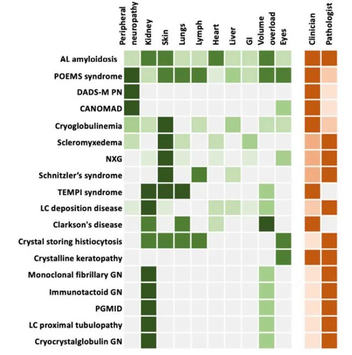 意义不明的单克隆免疫球蛋白,一文了解干扰素