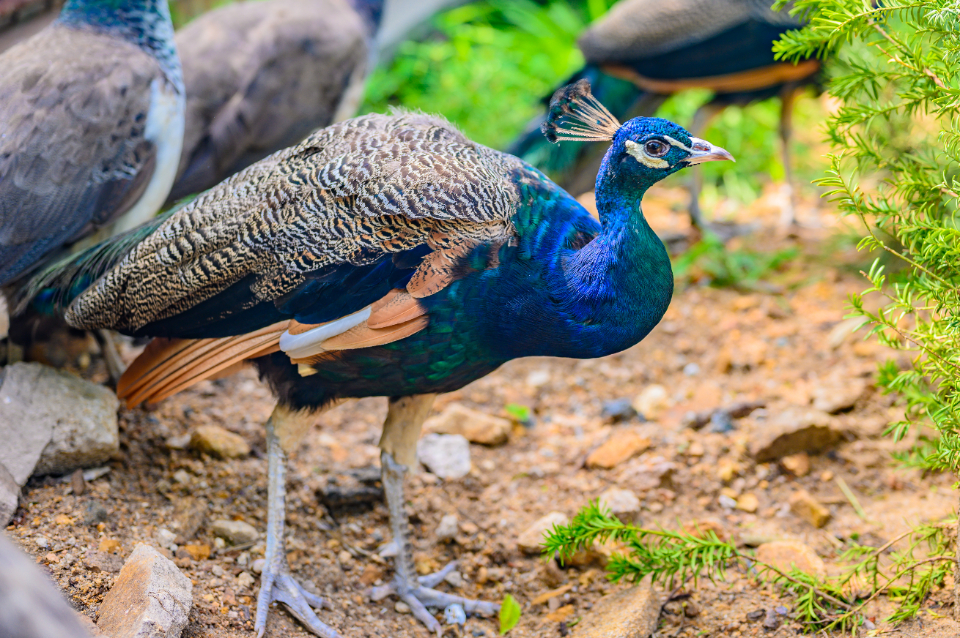 威海宝藏海岛旅游攻略,威海旅游打卡必须去的地方