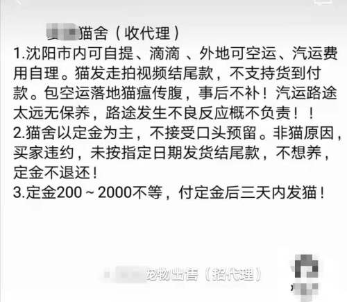 3000块买的猫有猫癣耳螨,五月大的得过猫癣的猫可以买吗