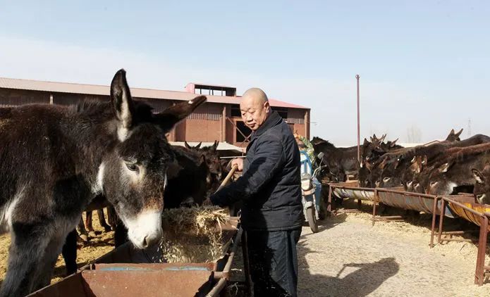 宣化球团厂,宣化球团厂图片