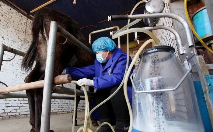 宣化球团厂,宣化球团厂图片