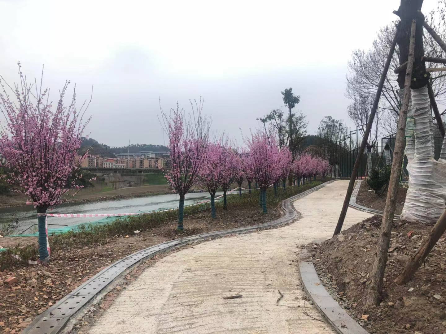 高家坝足球公园足球场对外开放吗,高家坝足球运动公园白天长什么样