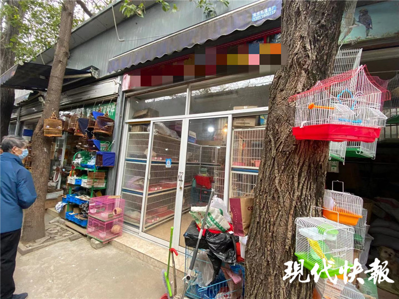 宠物店买的猫几天就死了怎么赔偿,宠物店买了个先天病猫能退吗