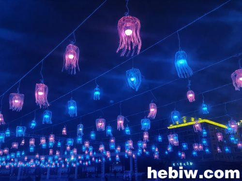 鹤壁淇滨区二支渠灯光秀樱花节,鹤壁樱花园灯光秀视频