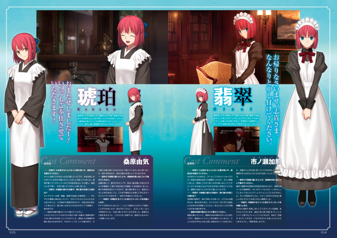 月姬重置售价,月姬remake限定版