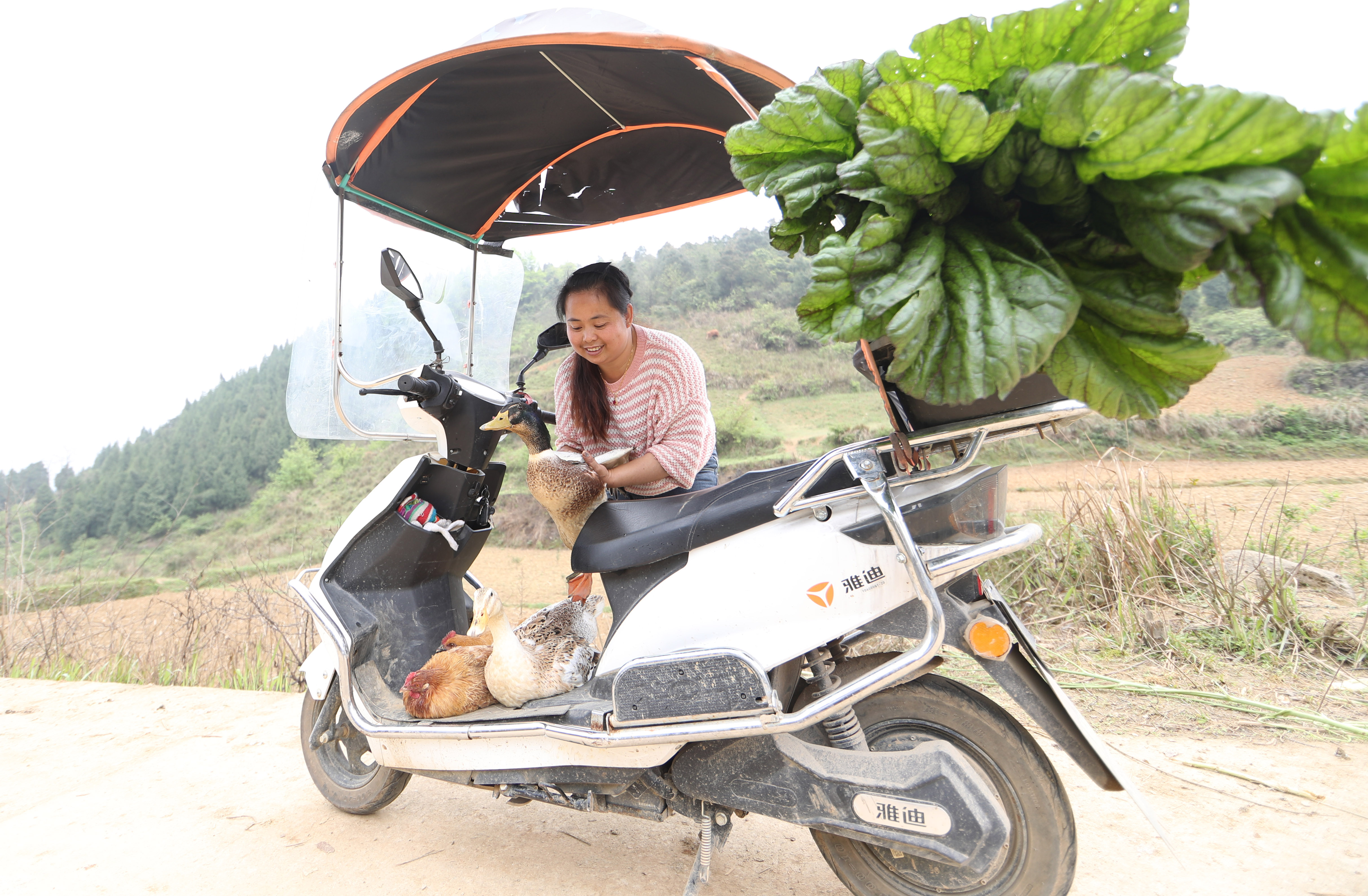 #（图片故事）贵州玉屏：“女货郎”送货记