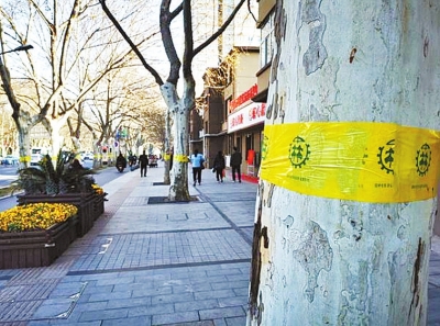 悬铃散喷洒,喷洒飞絮抑制剂对人有影响吗