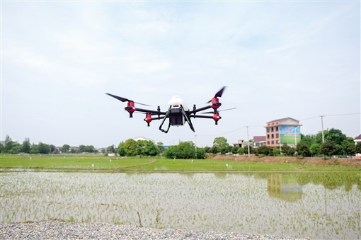 资阳暑假幼托班,资阳哪里有田往外承包