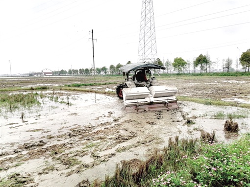 资阳暑假幼托班,资阳哪里有田往外承包