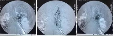 西安市胸科医院呼吸科专家,西安市胸科医院呼吸与危重症医学
