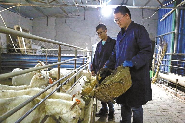 看致富经用什么软件,看致富经的人逆袭