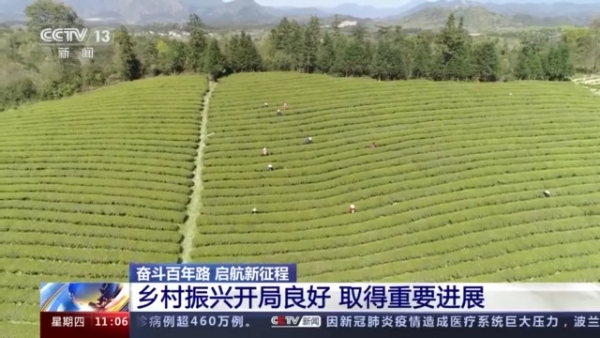 乡村振兴战略是三农工作的总抓手,新时期三农工作全面推进乡村振兴