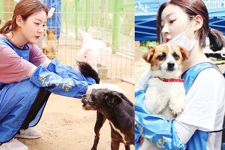 韩国昔日童星金赛纶长大亭亭玉立,韩国童星金赛纶写真集