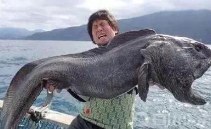 往大海里倒垃圾真没教养原视频,往大海里倒垃圾真没教养表情包