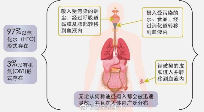 往大海里倒垃圾真没教养原视频,往大海里倒垃圾真没教养表情包