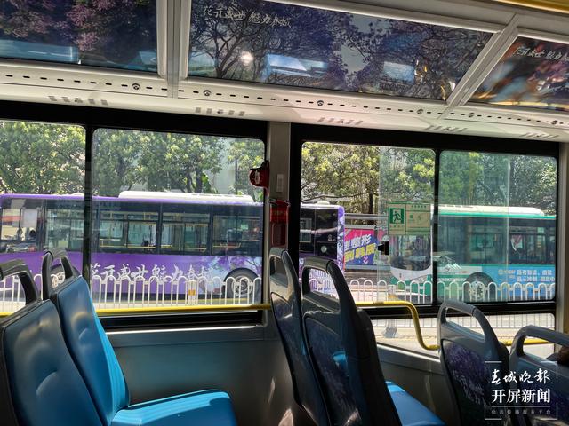 昆明蓝花楹主题公园路线,昆明赏蓝花楹巴士