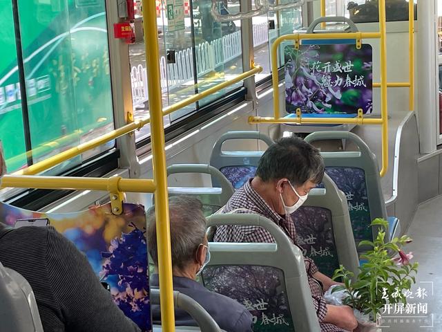 昆明蓝花楹主题公园路线,昆明赏蓝花楹巴士