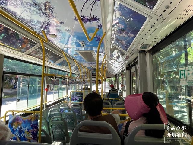 昆明蓝花楹主题公园路线,昆明赏蓝花楹巴士