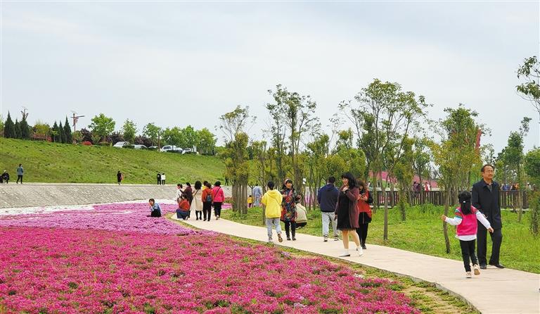 奋斗百年路启航新征程同心奔小康立下“军令状”攻坚“万元果”——长武县奋力打好果业振兴之战