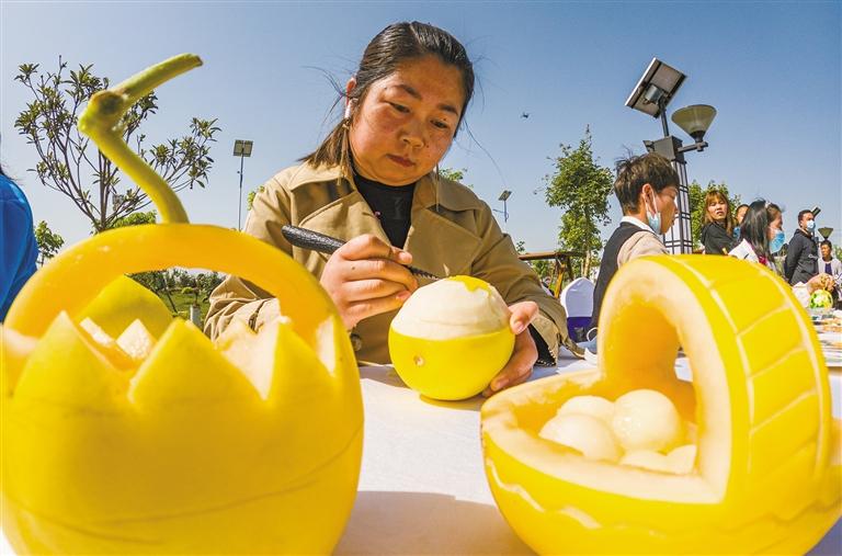 陕西阎良甜瓜超甜,陕西阎良甜瓜熟了