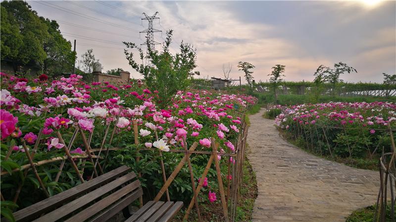 北京五一出游攻略大全,五一假期出游攻略江西