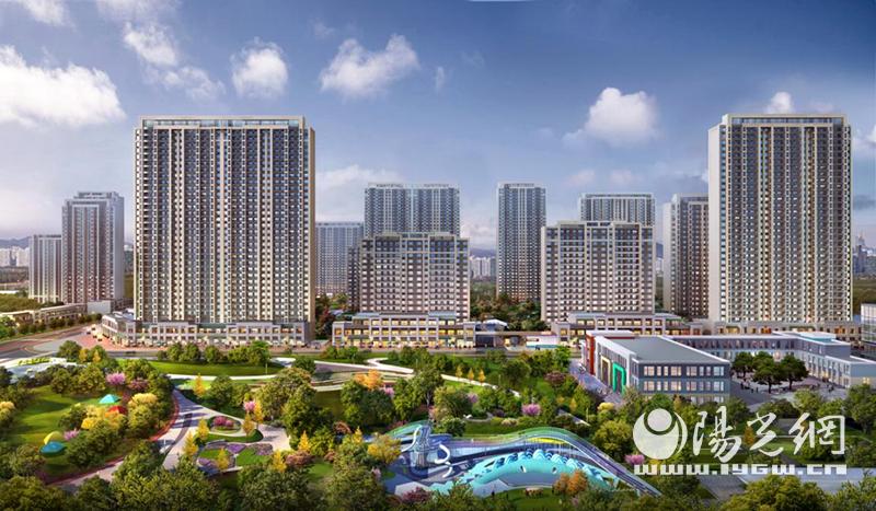 三大定律成功秘诀,三大定律金蝉定律