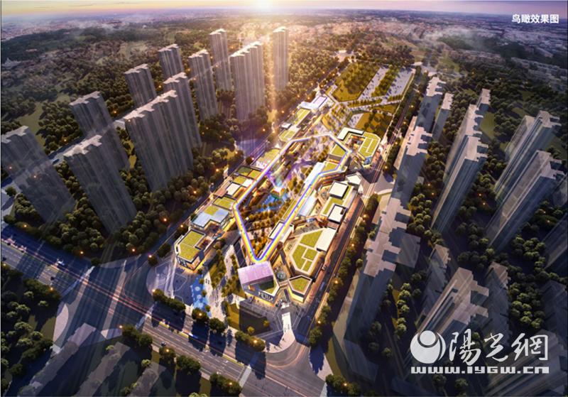 三大定律成功秘诀,三大定律金蝉定律