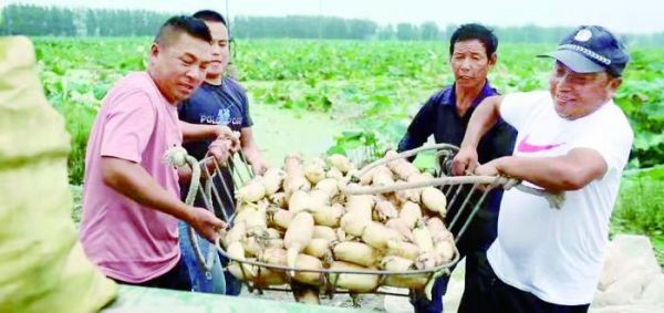 五一你最想向谁致敬,五一致敬最美工作者