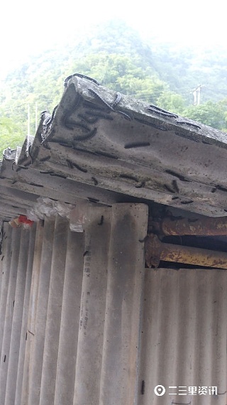 马陆虫又在商南过风楼境内出现，农综站干部盼专家给予防治建议