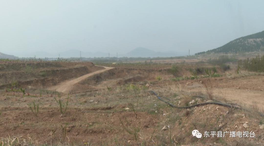 巾帼“愚公”潘婷：誓让荒山换新颜