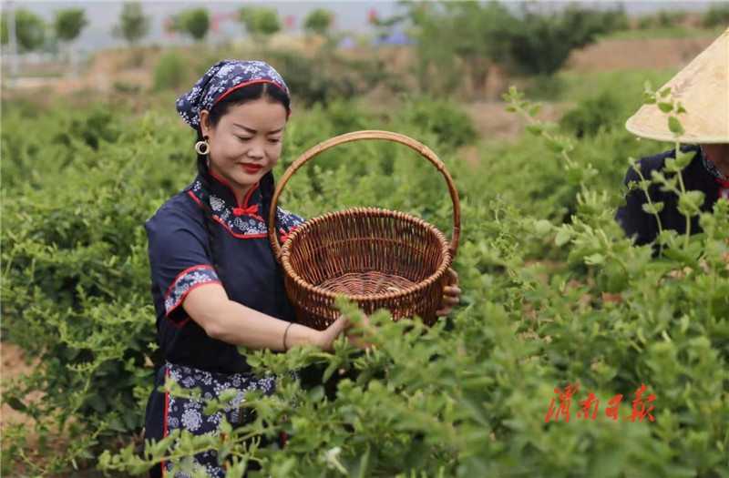 奋斗百年路启航开新局,奋斗百年路启航新征程主要内容