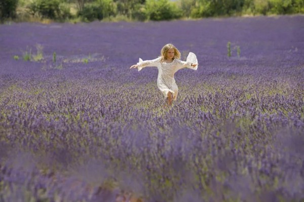 上海紫色花海熏衣草公园,上海最大的薰衣草