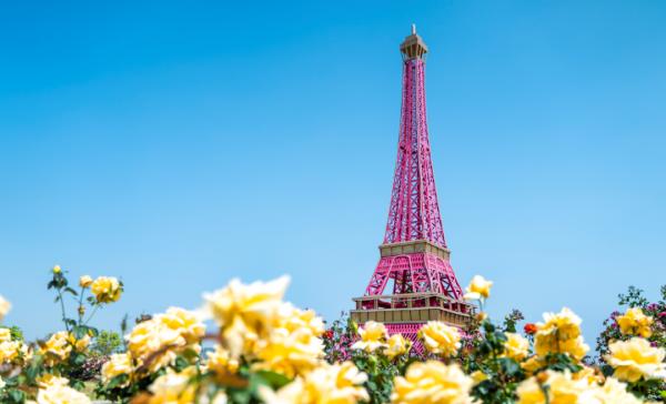 上海紫色花海熏衣草公园,上海最大的薰衣草