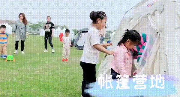 上海紫色花海熏衣草公园,上海最大的薰衣草