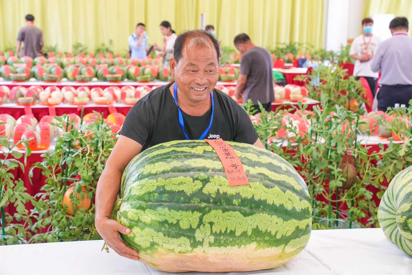 全国西瓜大兴“打擂”，庞各庄189斤大西瓜问鼎“瓜王”